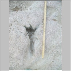 100_8431 (2011-10-03).JPG